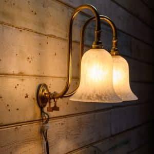 Swan Neck Wall Light #1263
